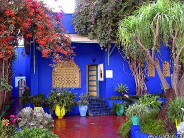 Frida House & Xochimilco